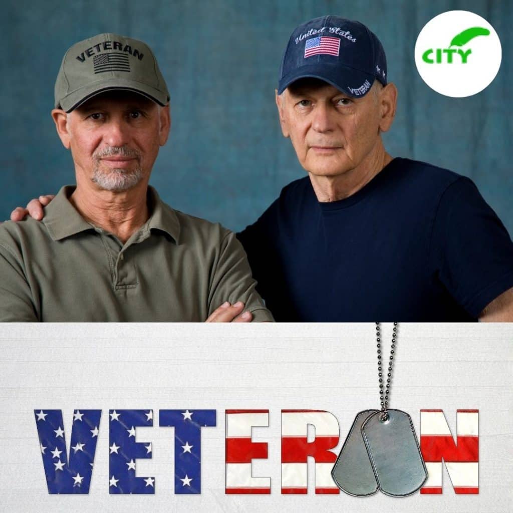 Veterans Day, honoring veterans, history of Veterans Day, ways to honor veterans, U.S. military service, veterans appreciation, military veterans, gratitude for veterans